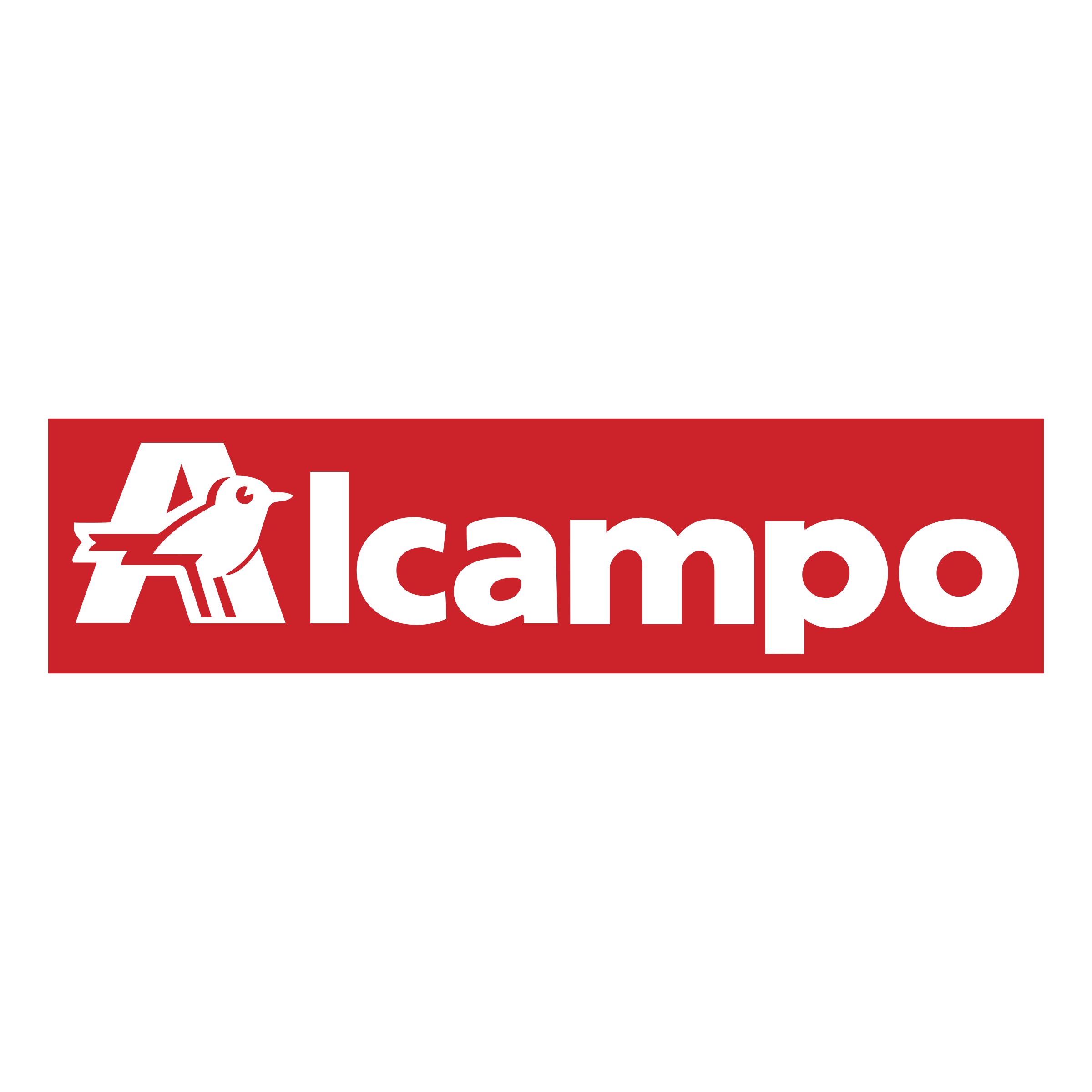 alcampo-logo-png-transparent
